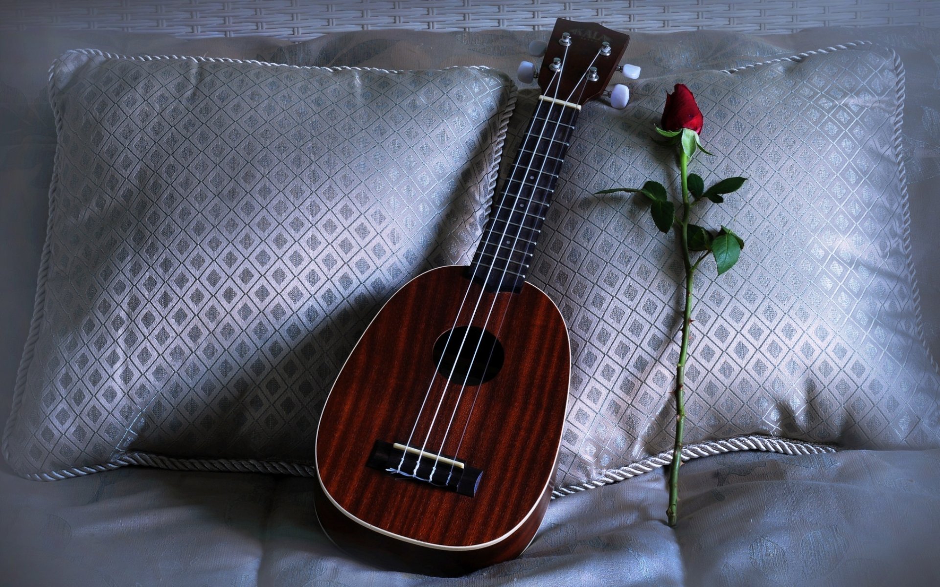 ukulele wuchs kissen liebeslied