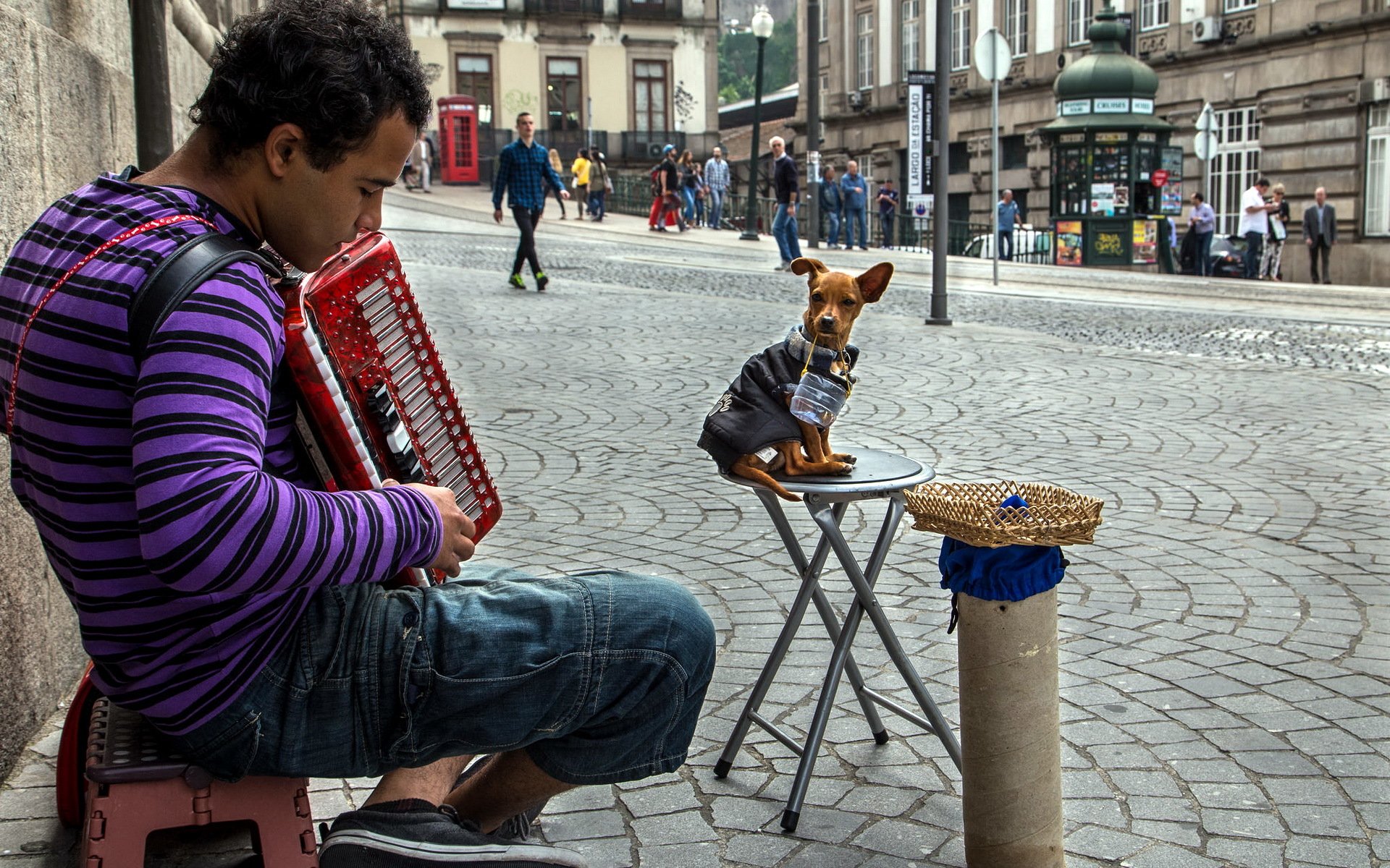 uomo cane strada musica