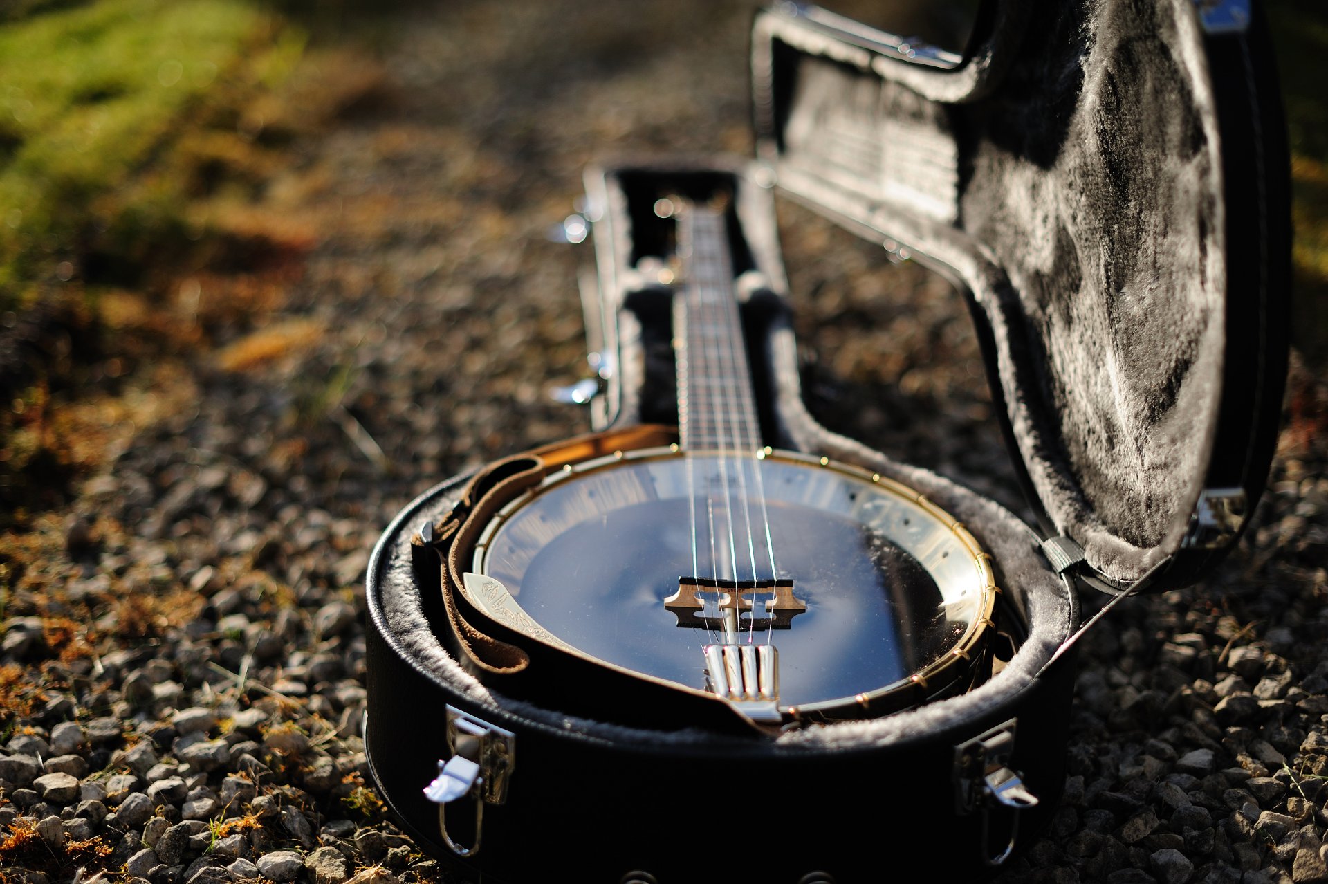 banjo instrumento música