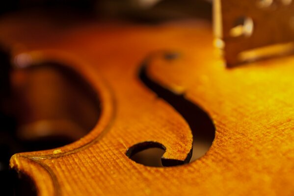 Instrument. Violon. Musique