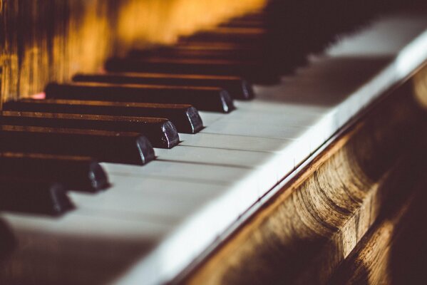 White and black piano keys