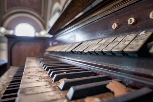 Dust and debris on an old organ