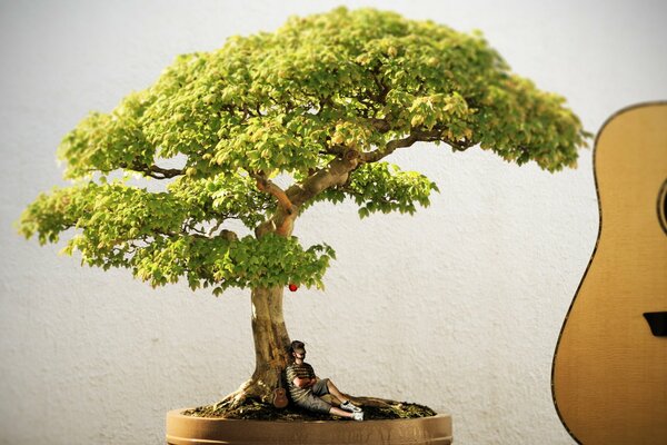 Un hombre bajo un árbol escucha los sonidos de la naturaleza