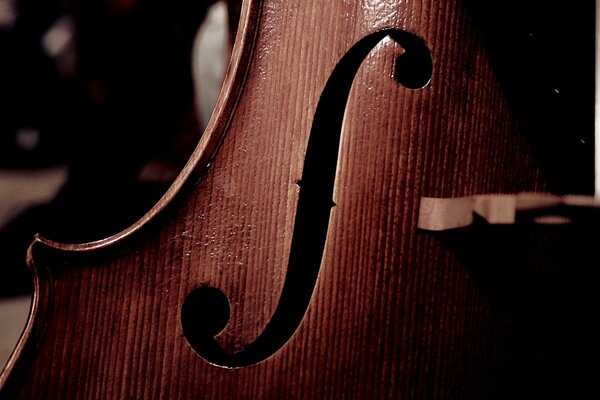 Smooth cello lines on the front deck