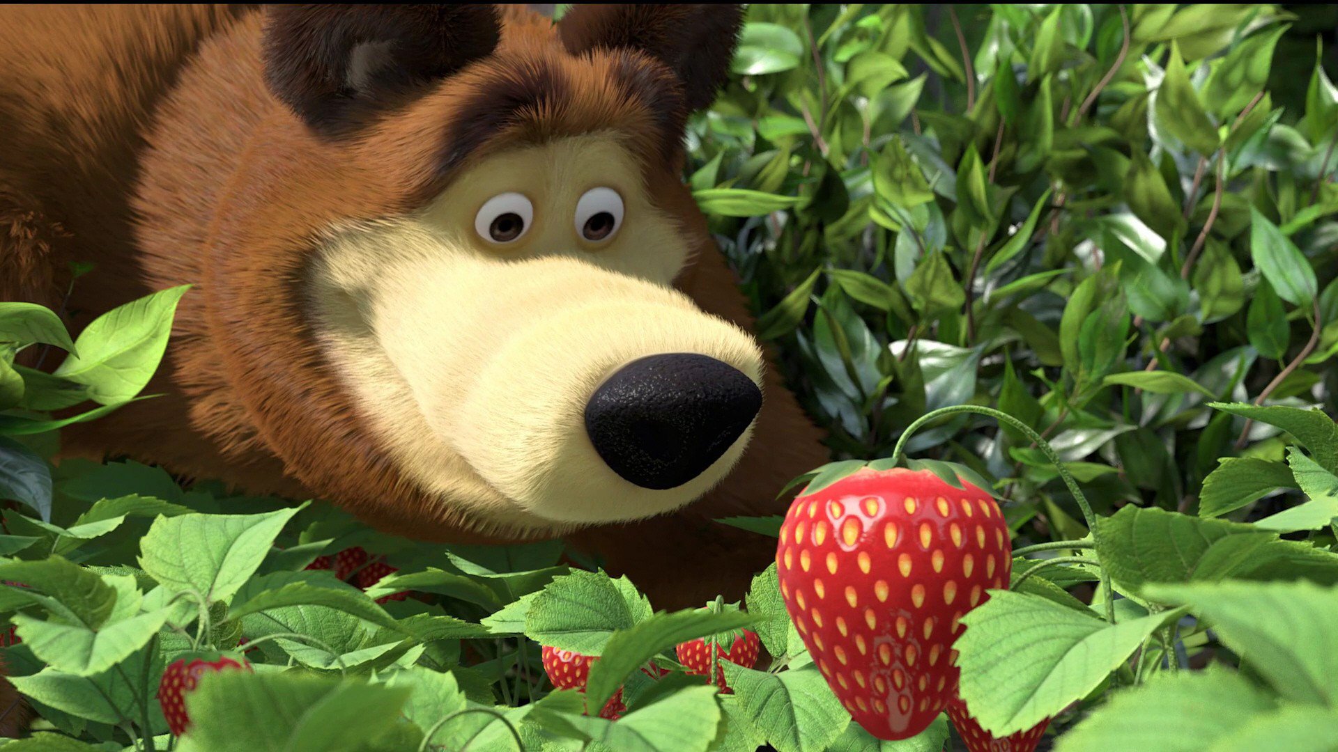 masha and the bear illustration masha bear forest strawberry