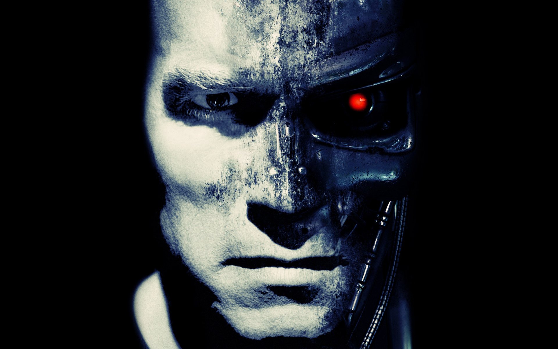 terminator arnold schwarzenegger robots t-800