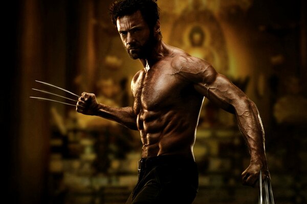 Actor logan from the movie Wolverine Hugh Jackman