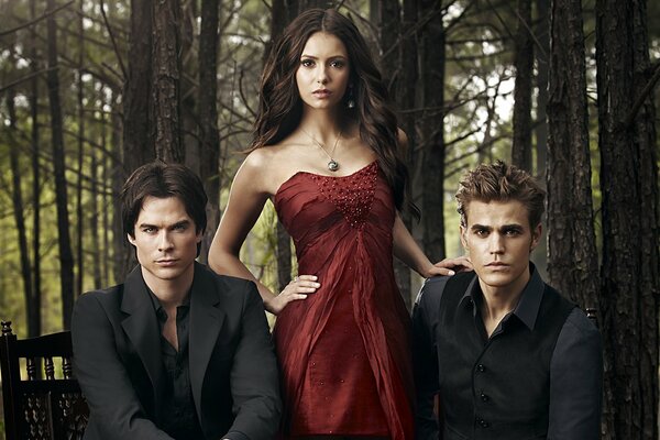 Heroes of the Vampire Diaries series