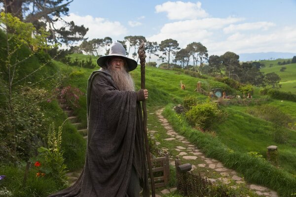 The Sorcerer from the movie The Hobbit: an Unexpected Journey.