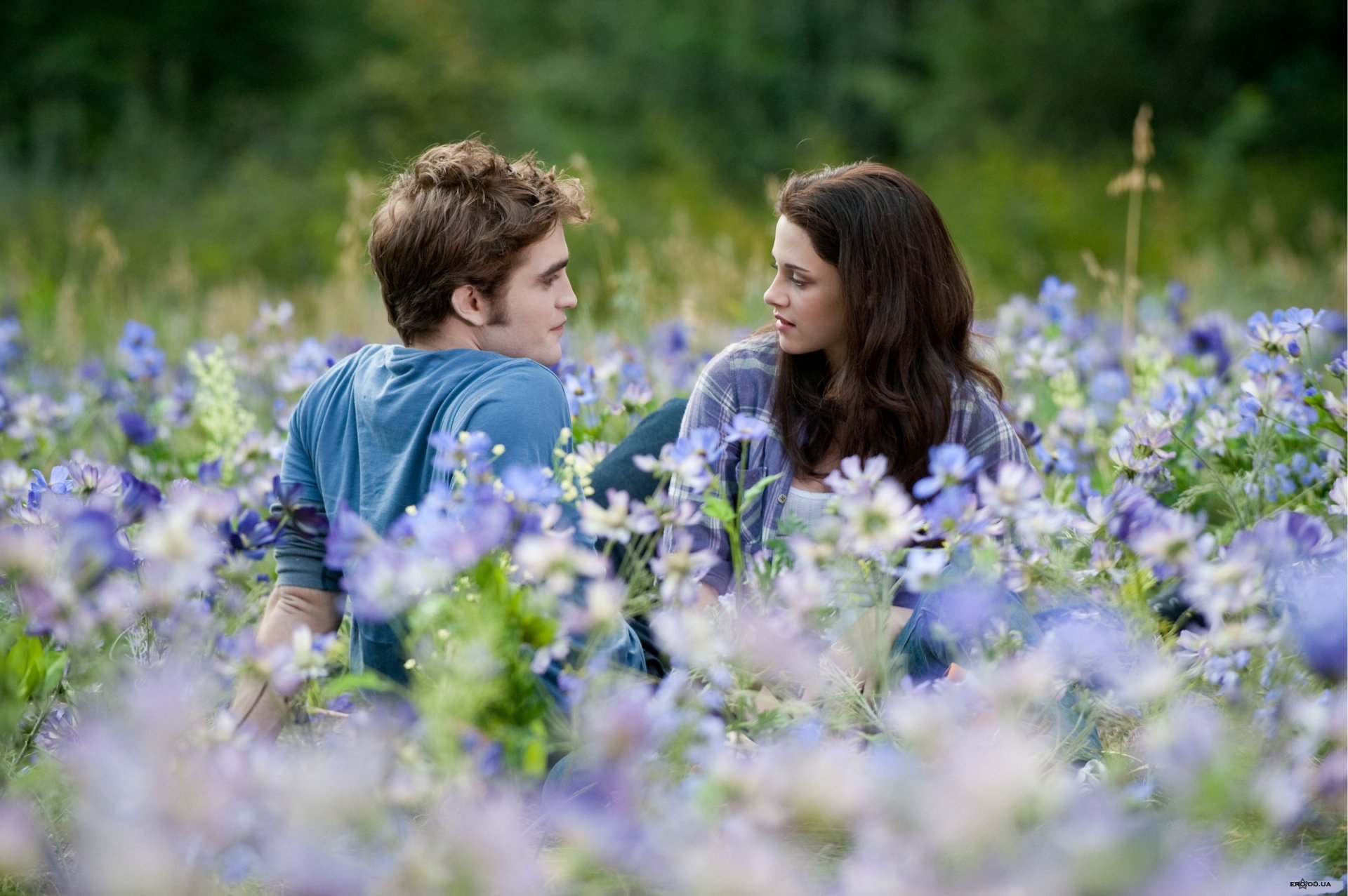 twilight edward cullen bella isabella swan bella swan edward cullen kristen stewart robert pattinson robert pattinson flowers eclipse field saga two