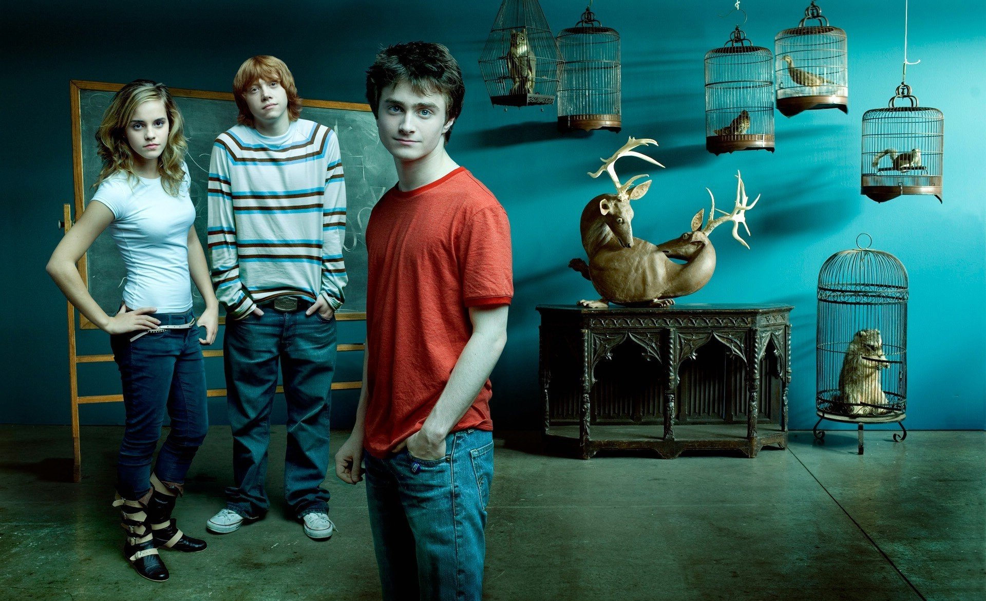 harry potter daniel radcliffe daniela radcliffe rupert grint ron weasley emma watson hermione granger