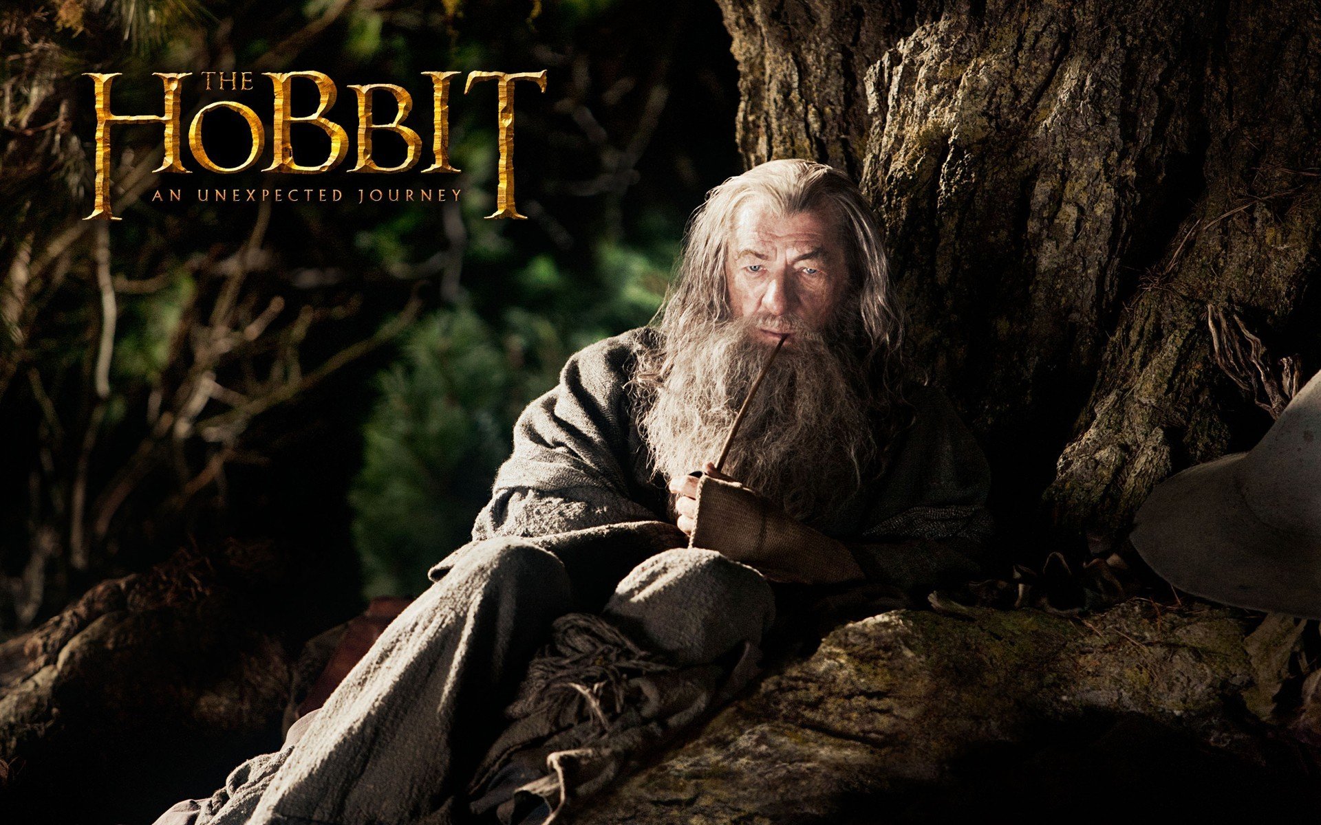 hobbit voyage inattendu ian mckellen ian mckellen gandalf gris vieillard magicien barbe tube arbre