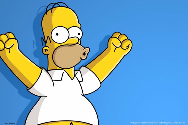 Homer Simpson dal cartone animato South Park Wuhu