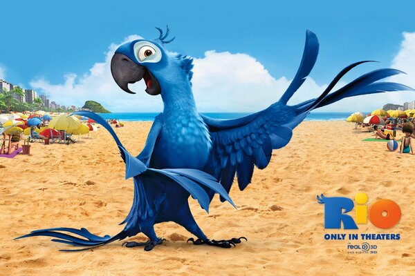 Papuga z kreskówki Rio na plaży