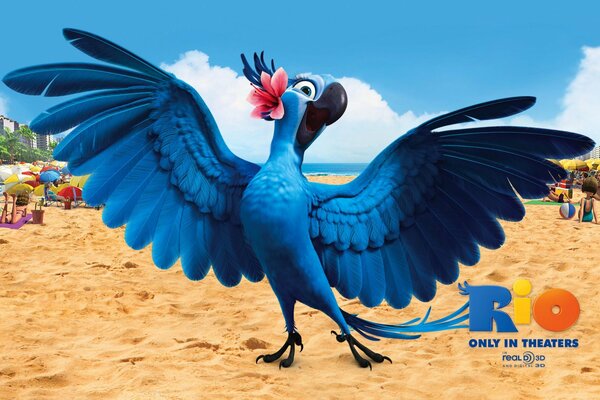 The blue bird on the beach from the cartoon