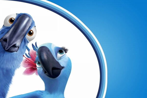 A couple of blue parrots from the cartoon Rio .