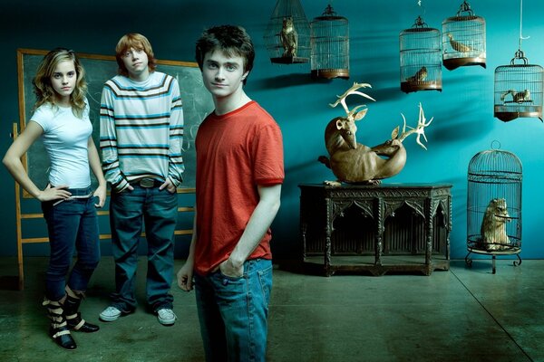 Harry Potter und seine Freunde auf einem Hintergrund von Käfigen mit Tieren