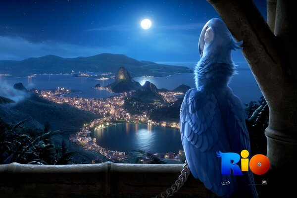 The parrot from the cartoon Rio looks at the night Rio de Janeiro