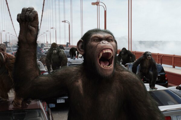 The Rise of the Planet of the Apes among Humans