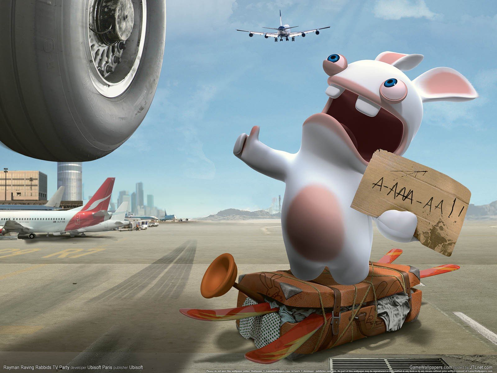 rabbit votes hitchhiking plane