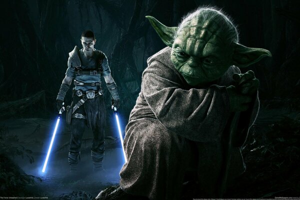 Star Wars Master Yoda reflexiona sobre el significado de dizney