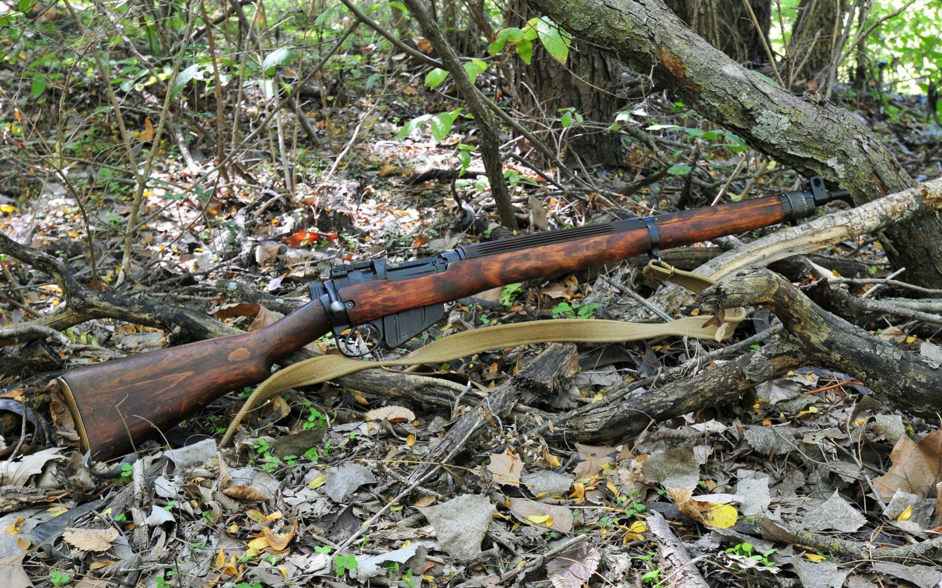 lee-enfield fucile arma