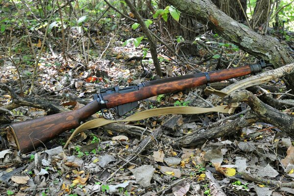 Fucile in legno secco, pronto per la caccia