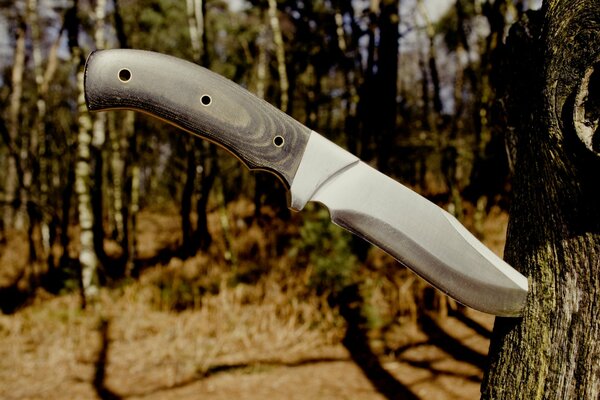 Cuchillo de caza clavado en un árbol