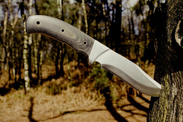 Couteau de chasse coincé dans un arbre