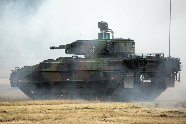 Combat vehicles. German Armored Cougar