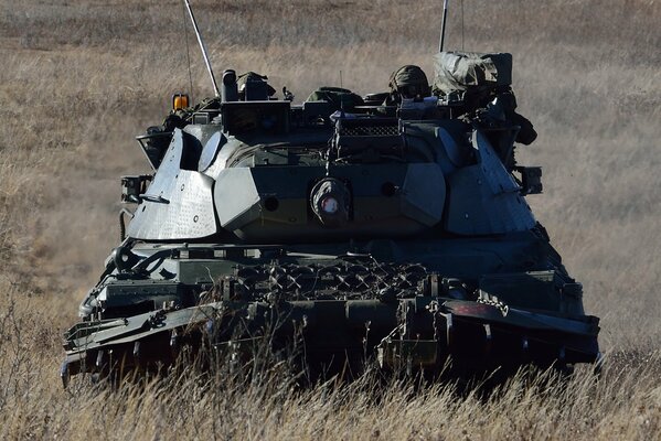 Czołg Leopard-1 stoi w polu