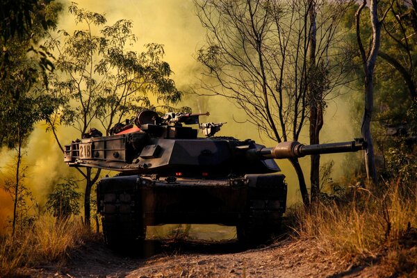 A battle tank drives past trees