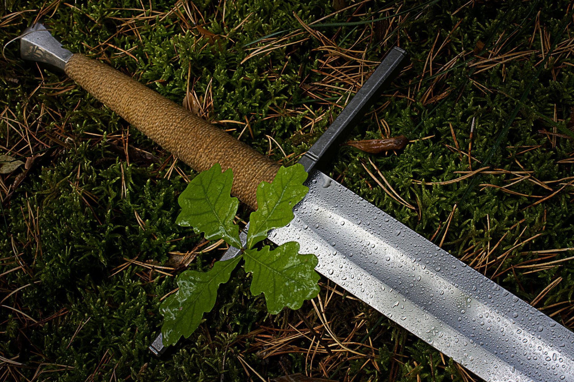 épée arme poignée acier artisanat mousse plante rosée gouttes