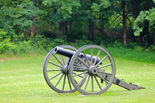 Cannon in a clearing in the forest