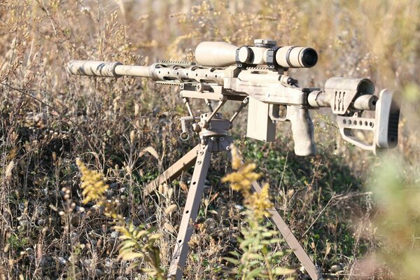 Sniper rifle in the field