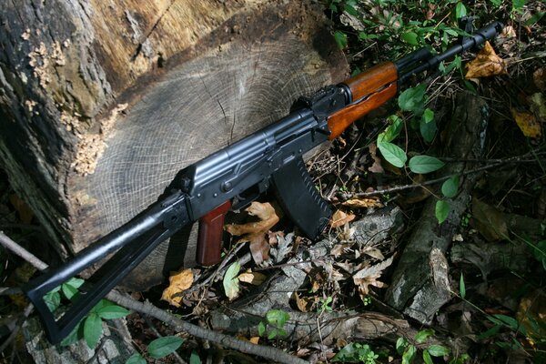 Kalashnikov assault rifle close-up