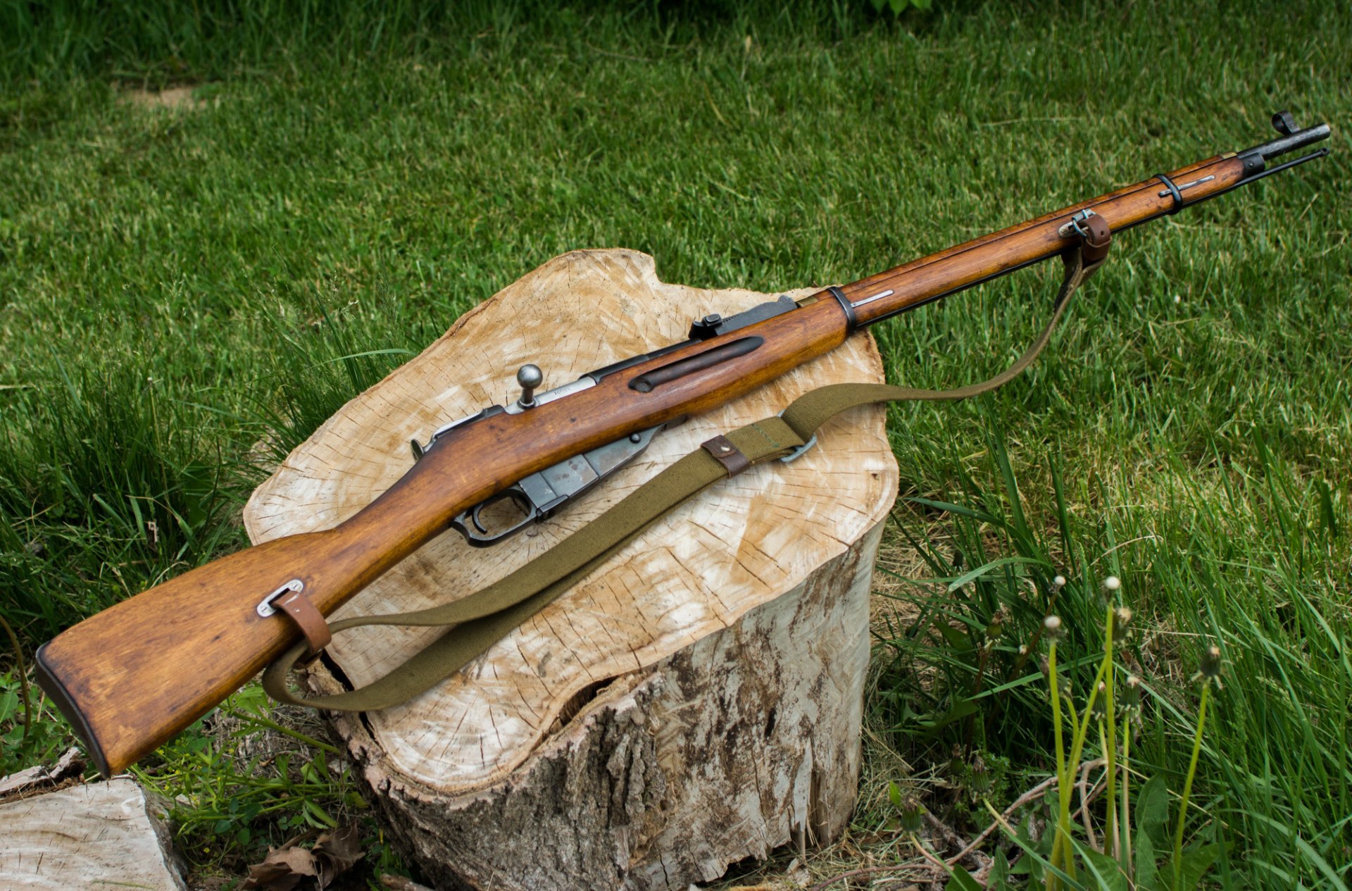 rifle mosina weapon stump