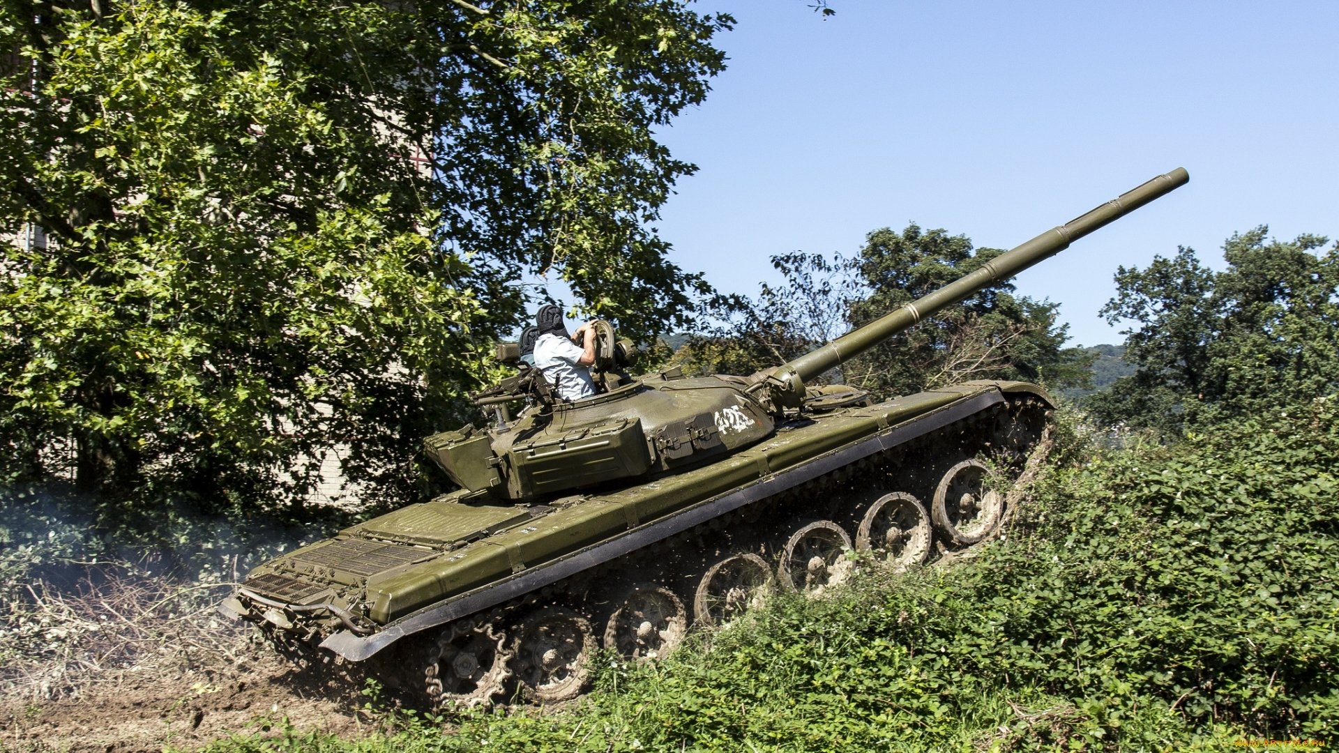 czołg moc roślinność coś w rodzaju t-72