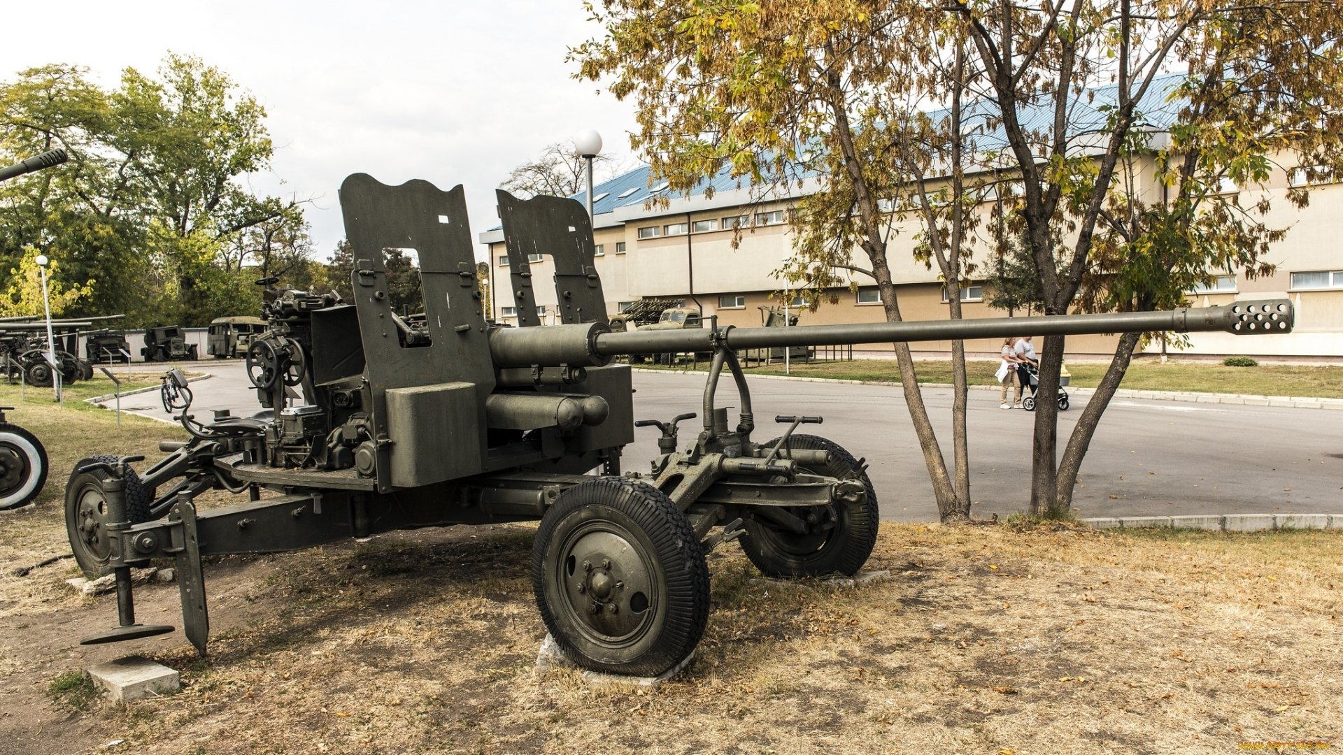 45 mm m-42 artillerie vert