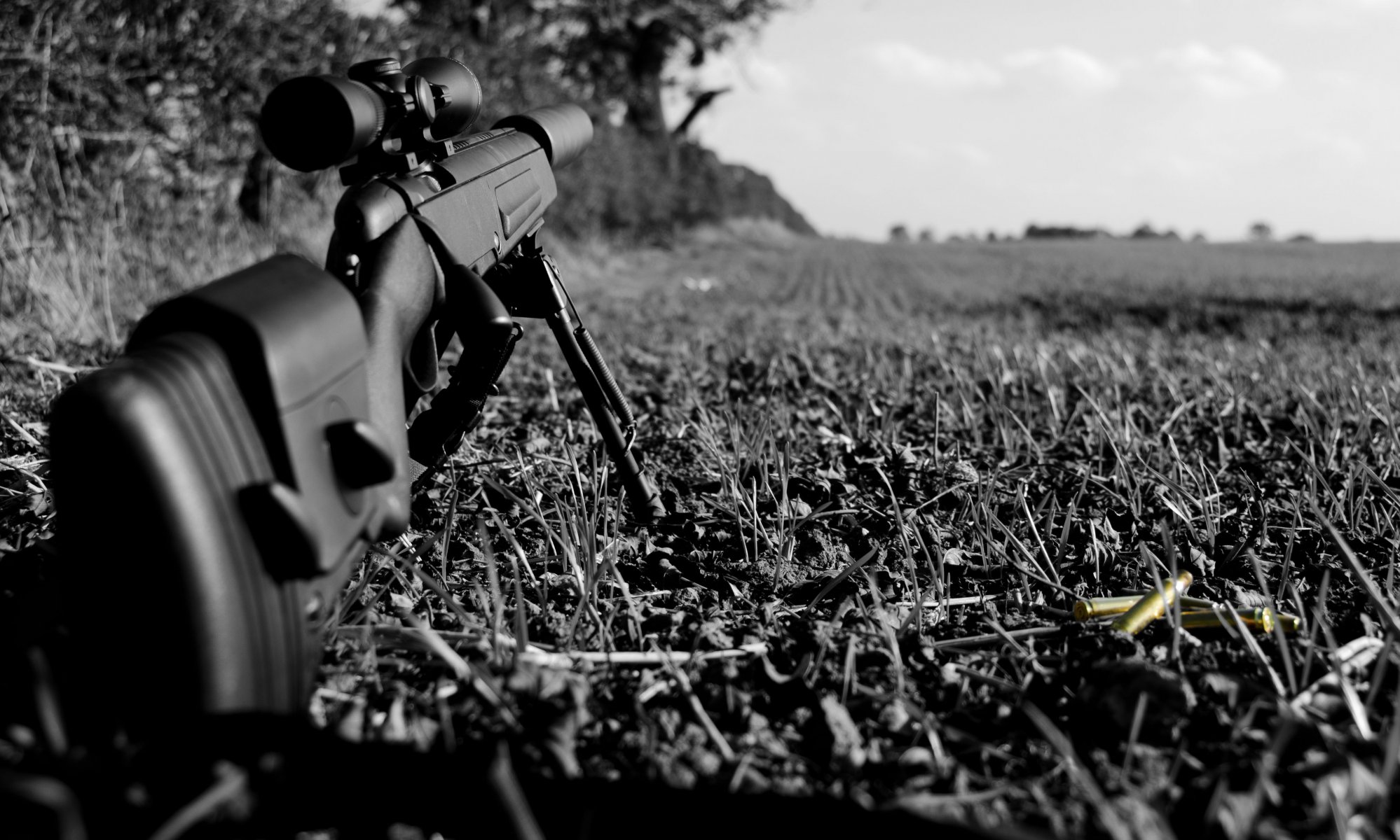 teyr scout scharfschütze gewehr gras hülsen