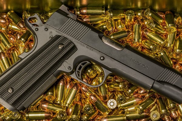 Predator pistol on cartridges