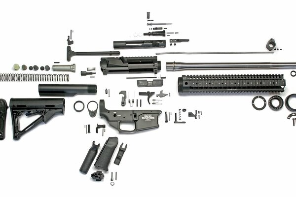 Rifle in disassembled condition