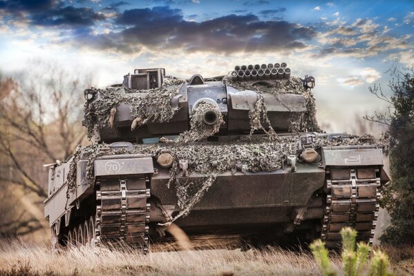 Tank Himmel Wolken Gras