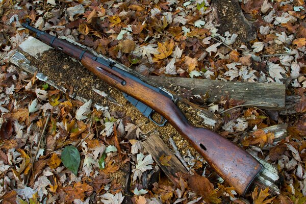 Mosin s rifle on a carpet of fallen leaves