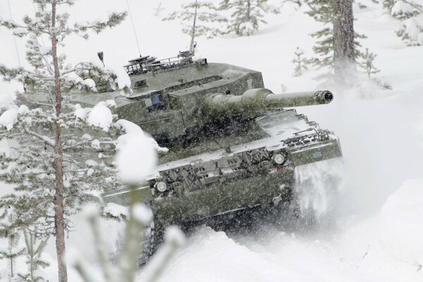 Tanque leopardo entre los árboles cubiertos de nieve