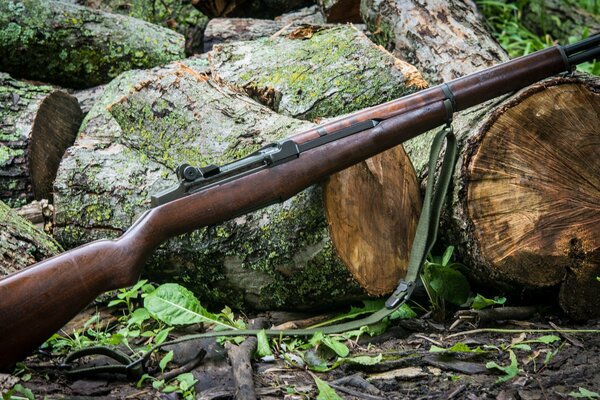 Rifle de carga automática en el bosque de verano