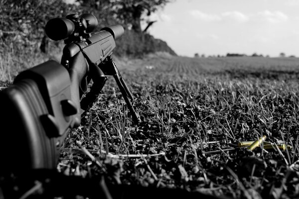 Rifle on the grass in black and white