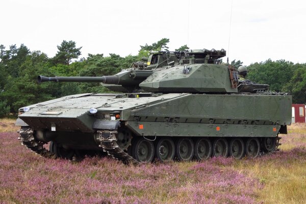 Kampfmaschine in Gras und Blumen