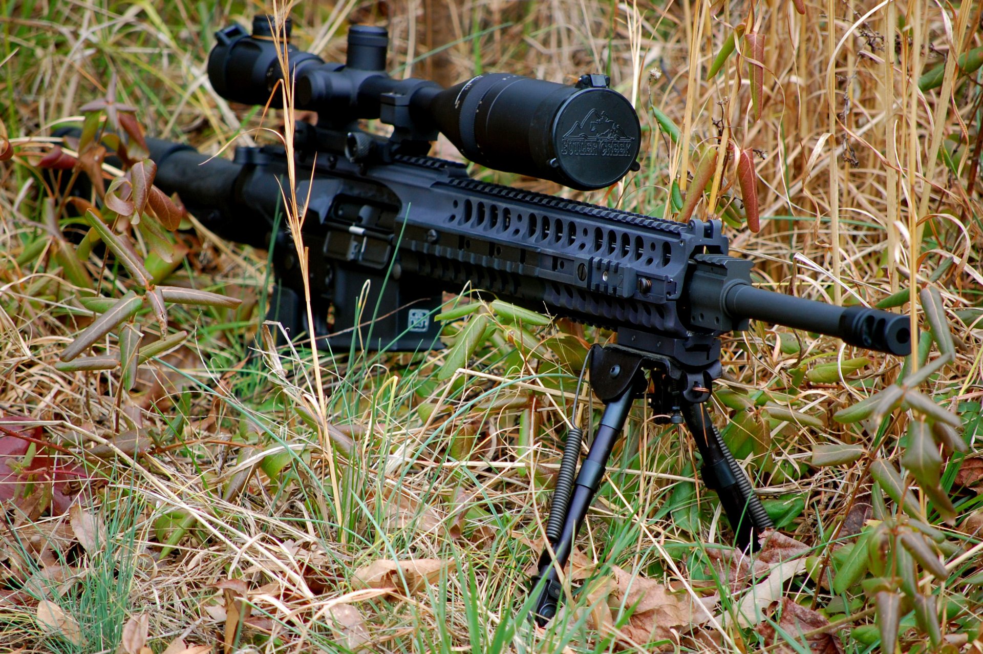 ‎ar-10 auto rifle fry weapon gra