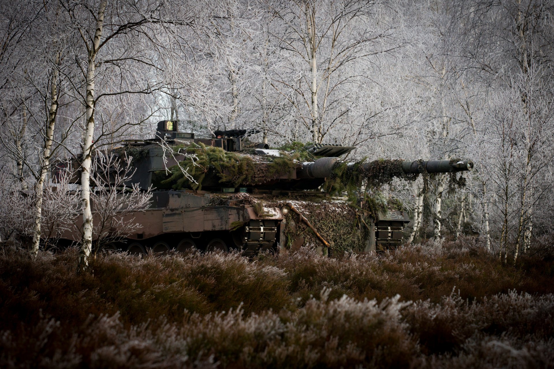 leopard 2a6m kampf panzer verkleidung bäume gras wald